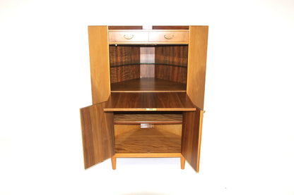 Armadio angolare design svedese vintage anni 60 | sw28992