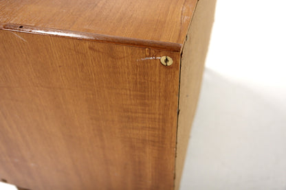 Sideboard "Variett" Bertil Fridhagen design danese 1960 | sw29691