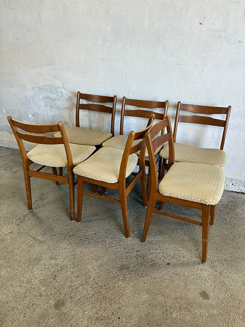Set 6 Sedie design danese vintage anni 50 | ck2386