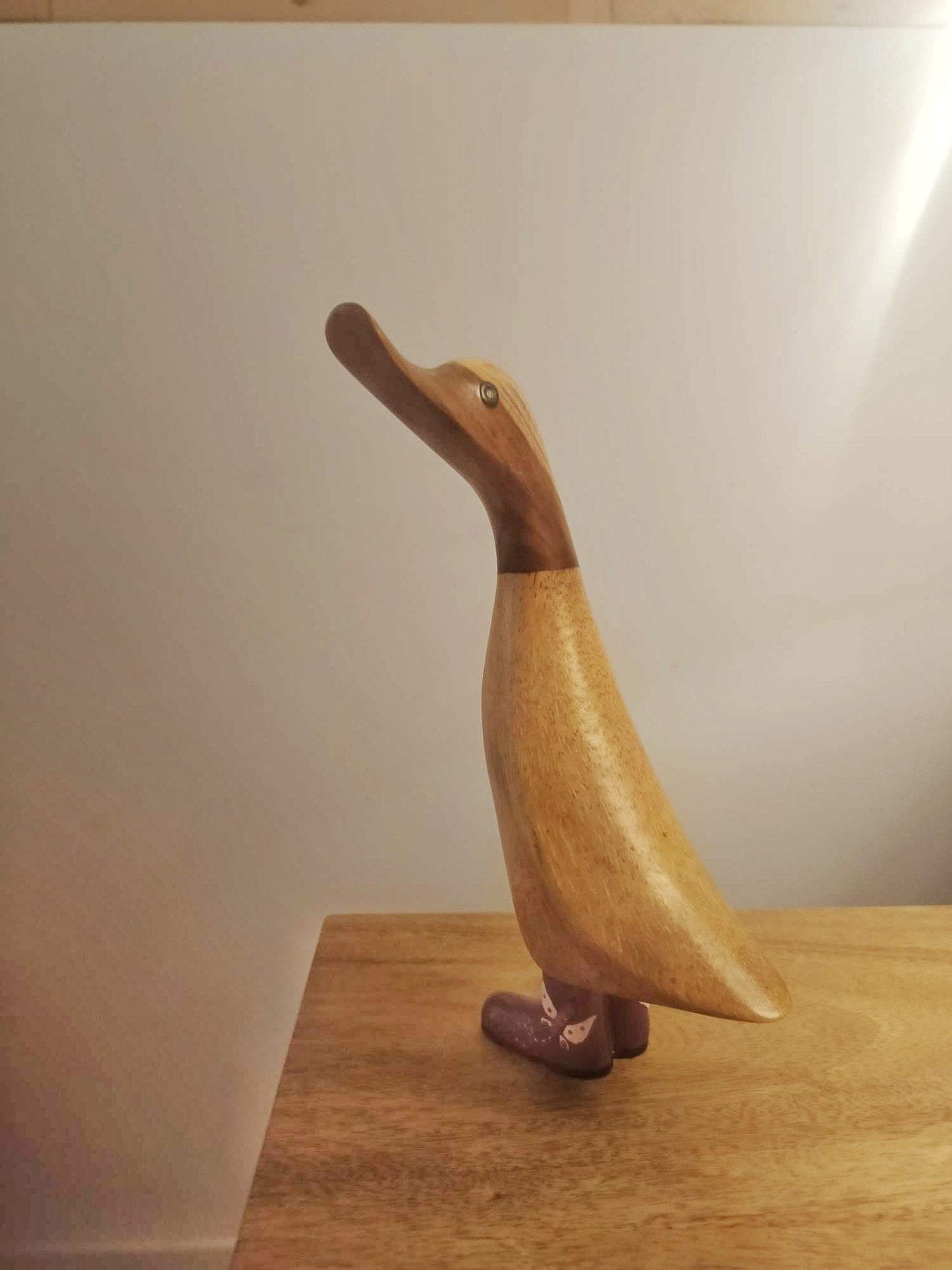 Papera con stivale libellula [2]