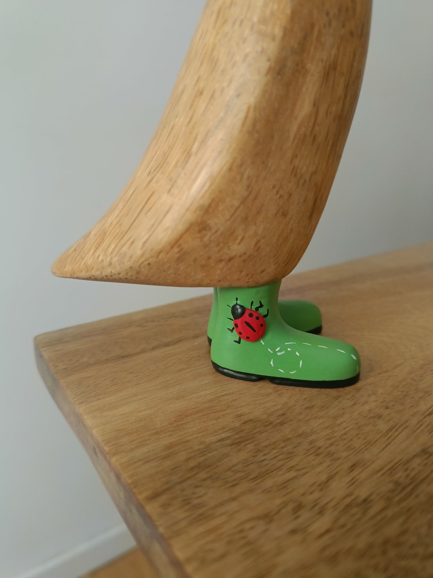 Papera con stivale coccinella [3]