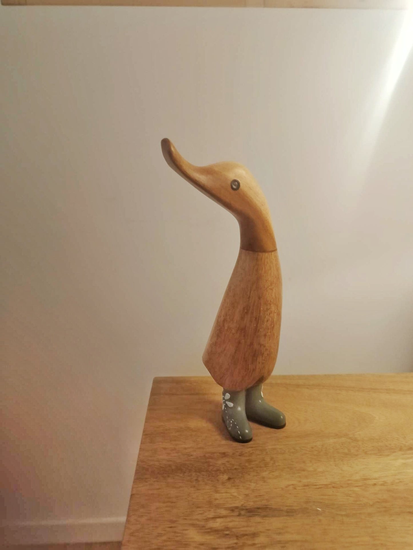 Papera con stivale farfalla [2]