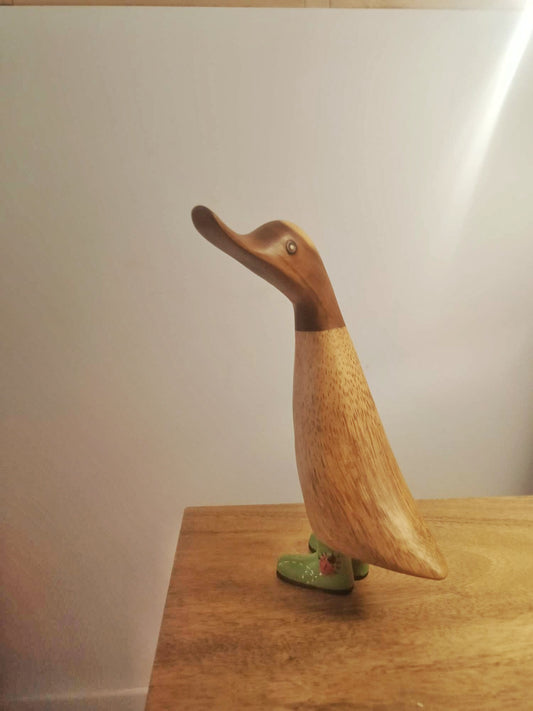 Papera con stivale coccinella [1]