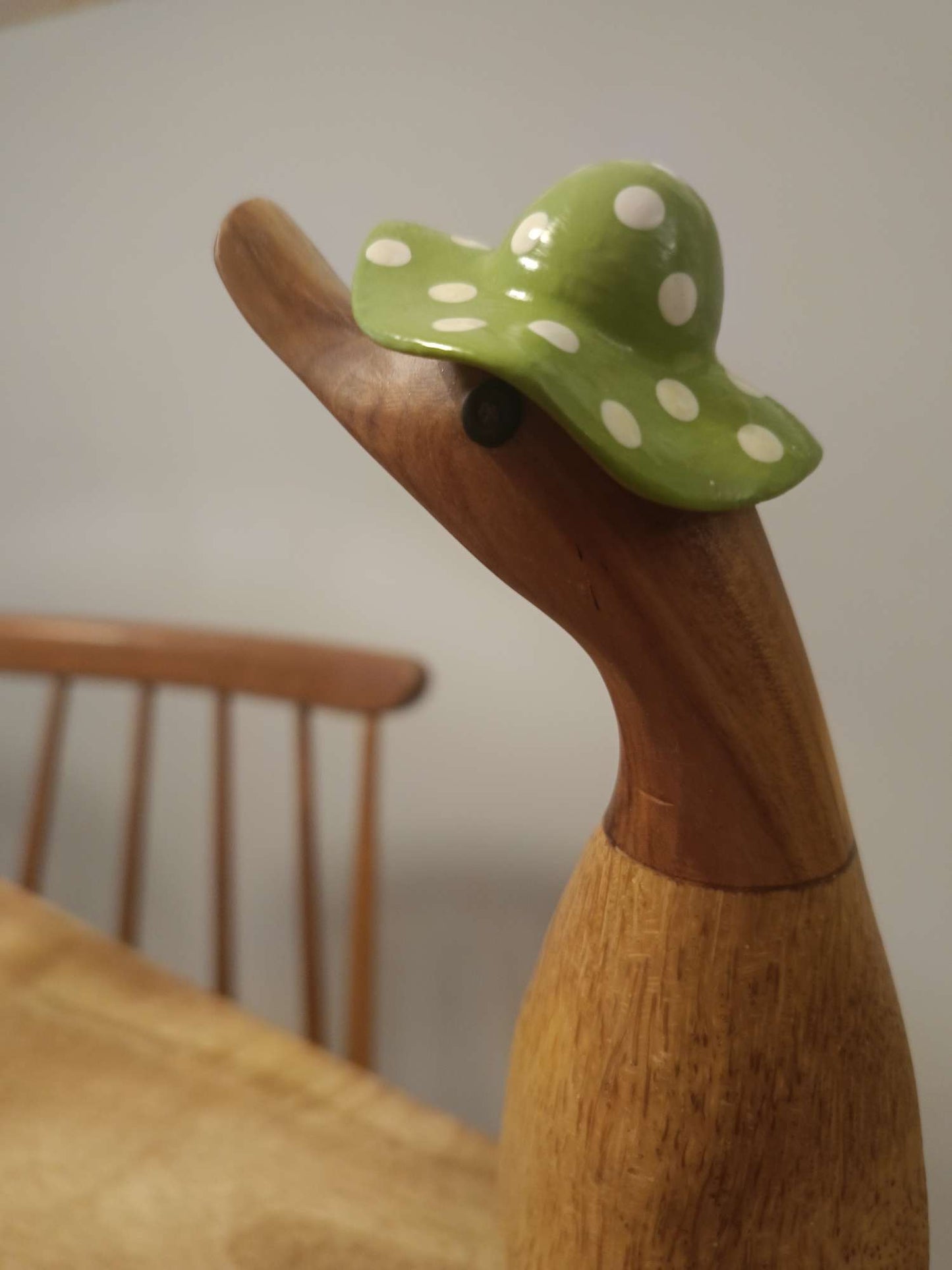 Papera a pois stivale verde con cappello [pre-order]