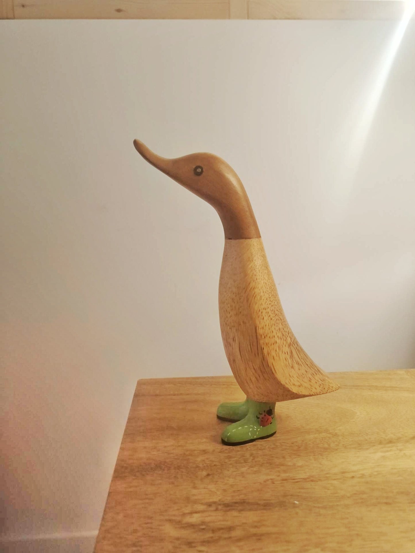 Papera con stivale coccinella [3]