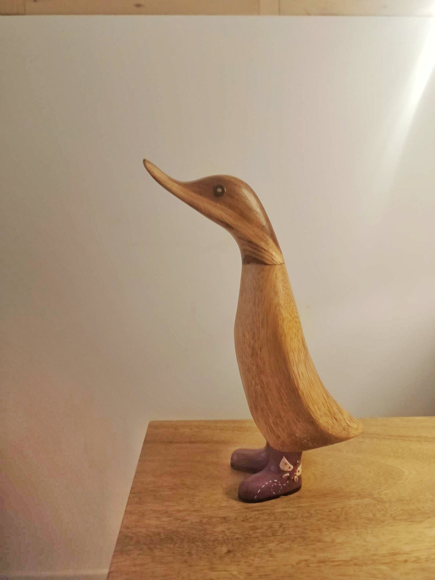 Papera con stivale libellula [1]