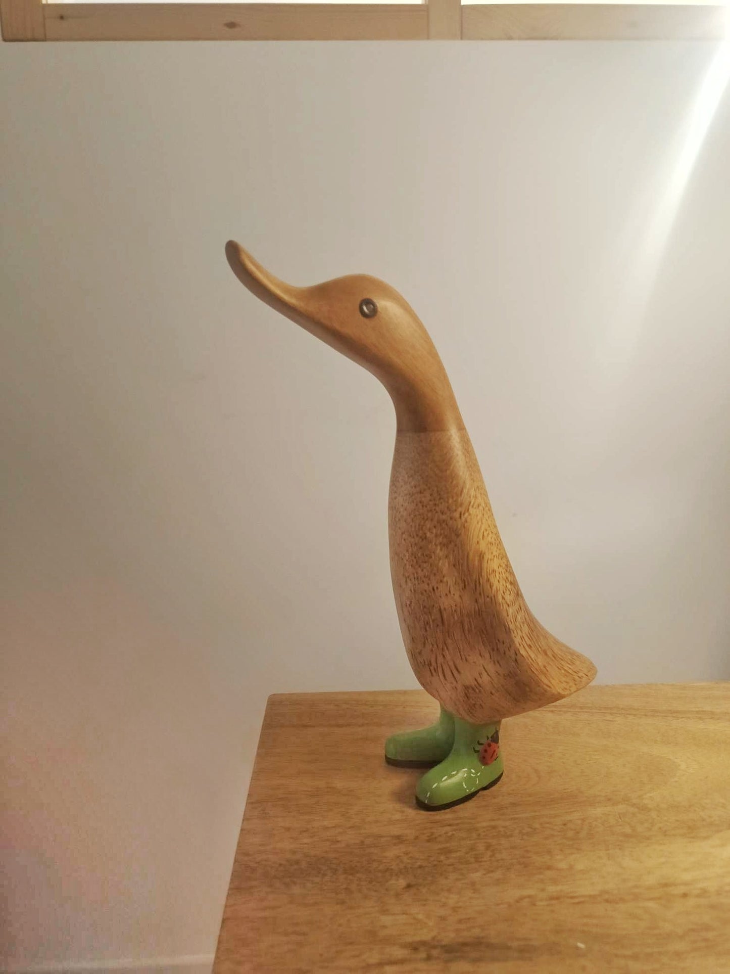 Papera con stivale coccinella [3]