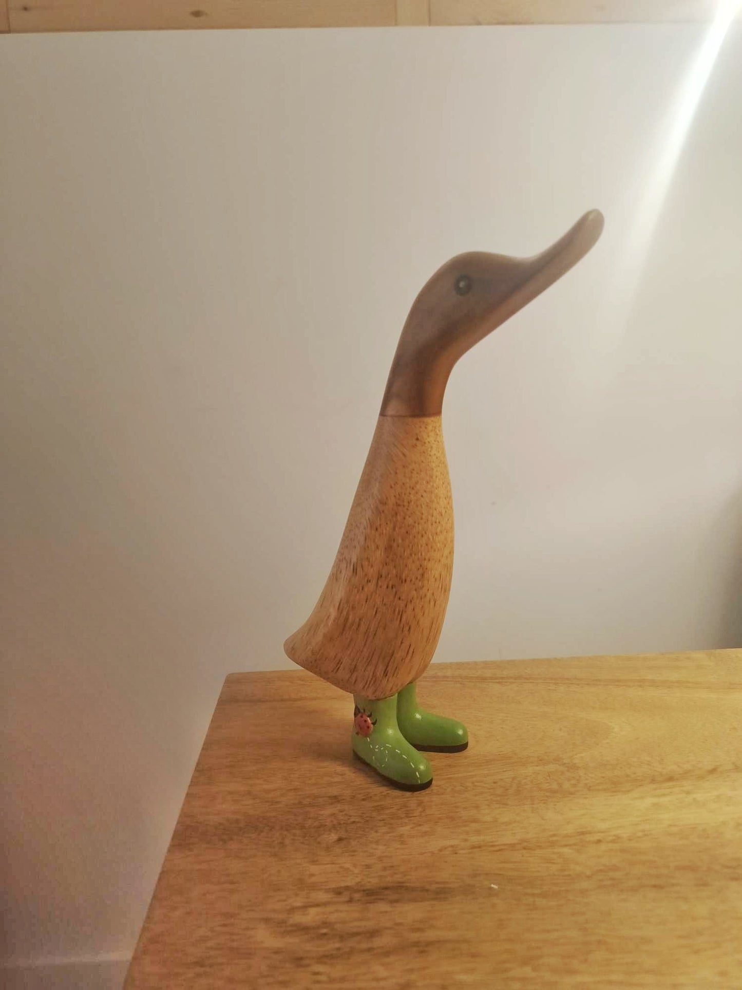 Papera con stivale coccinella [3]