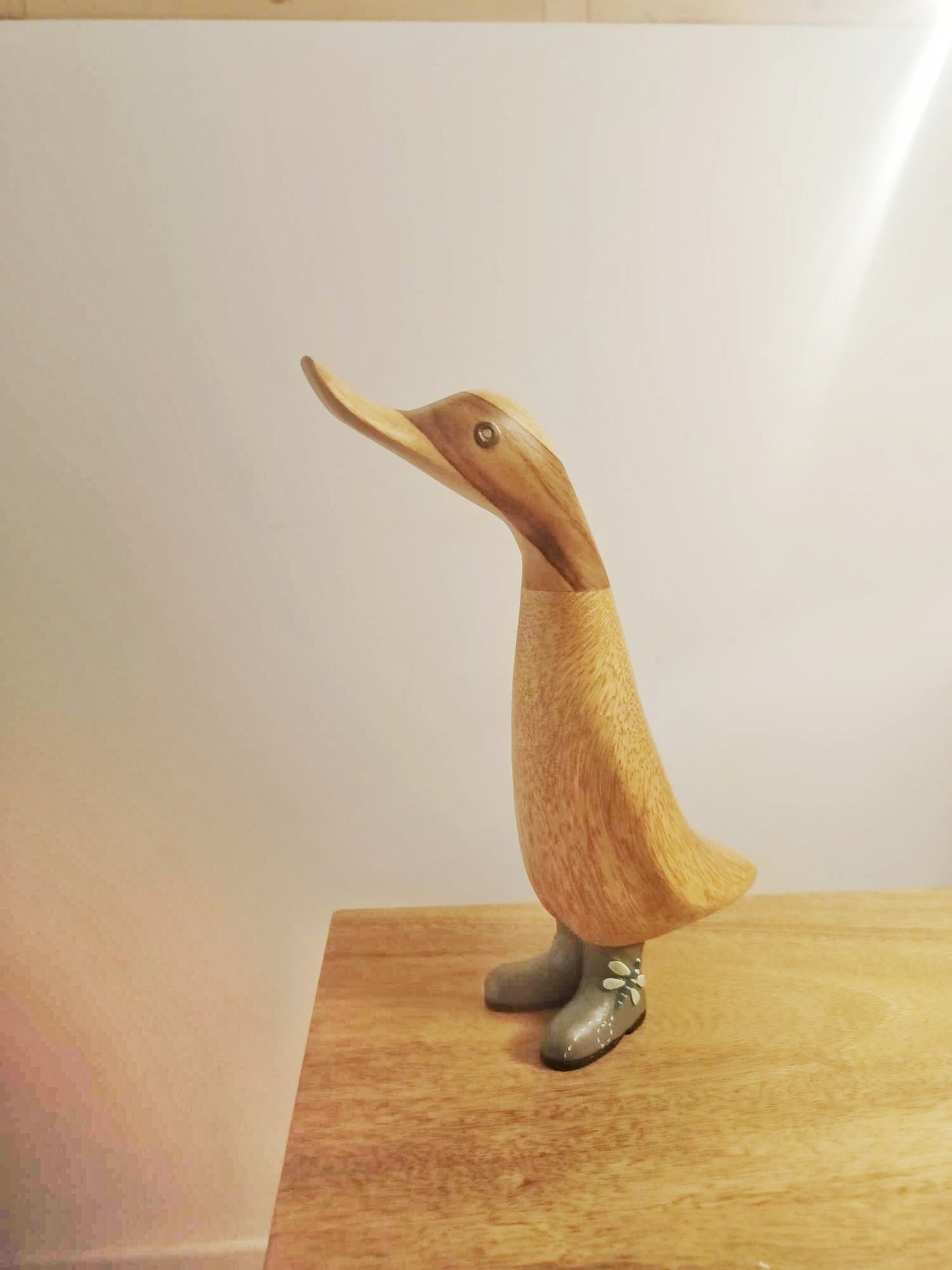 Papera con stivale farfalla [3]