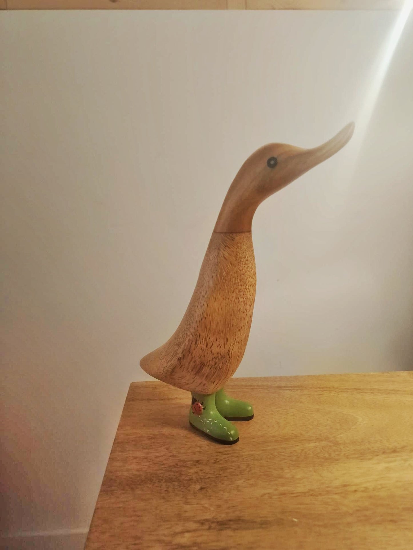 Papera con stivale coccinella [3]