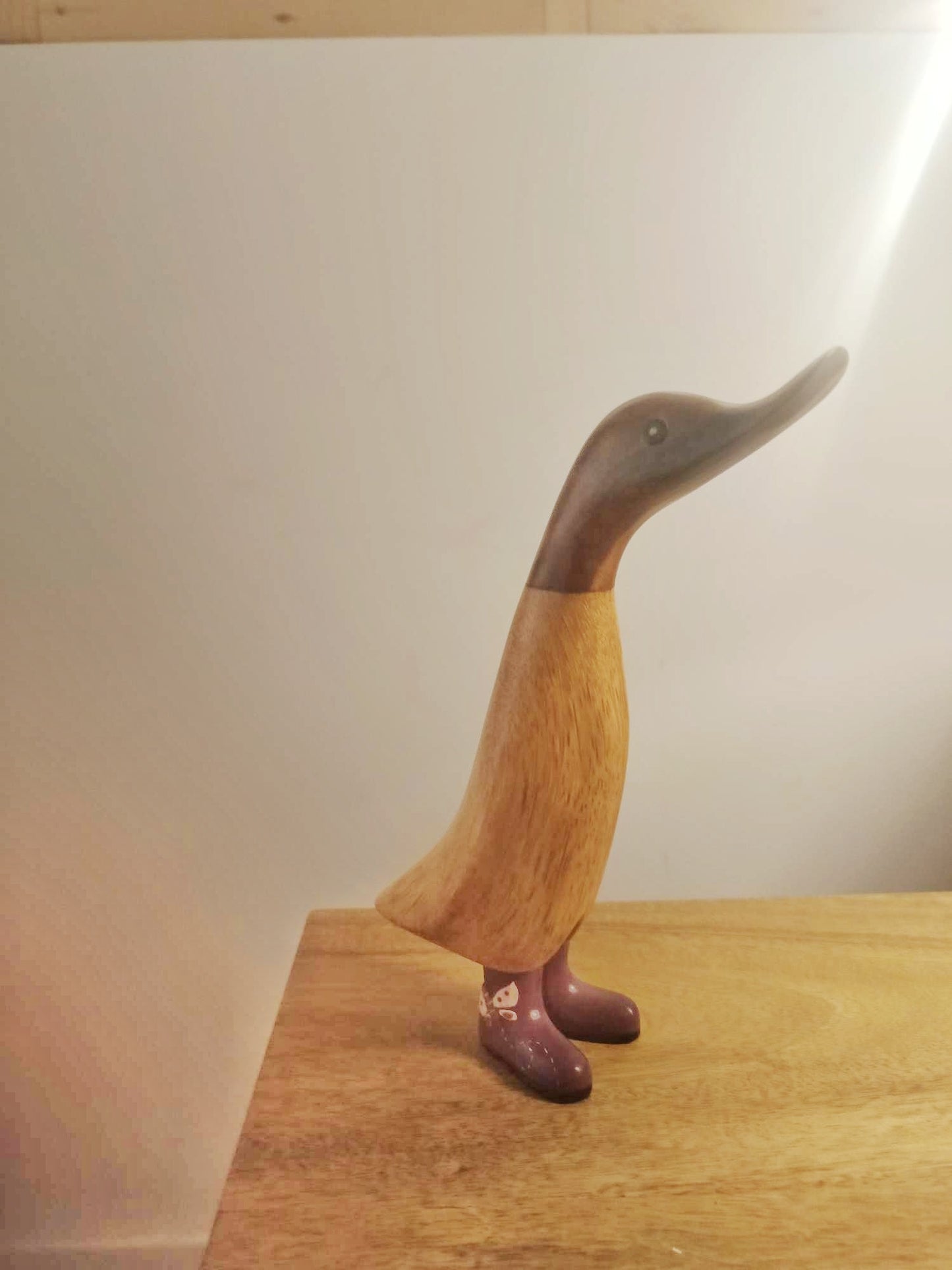 Papera con stivale libellula [1]