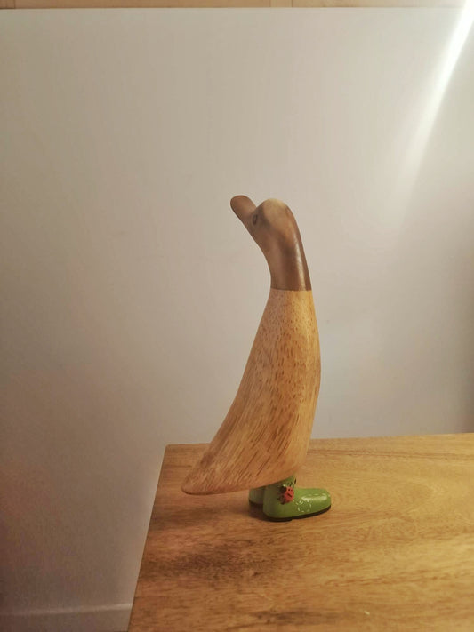 Papera con stivale coccinella [1]