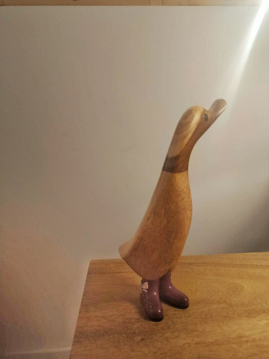 Papera con stivale libellula [2]