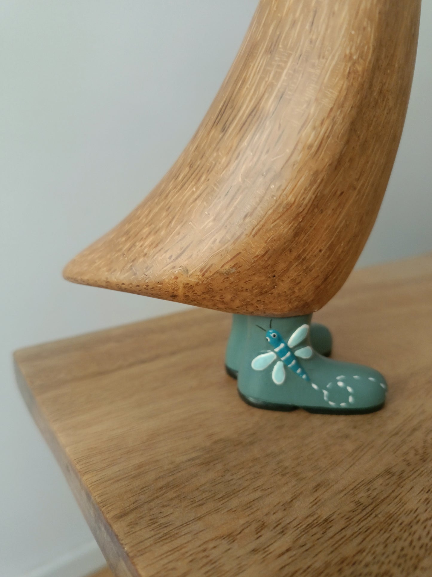 Papera con stivale farfalla [1]