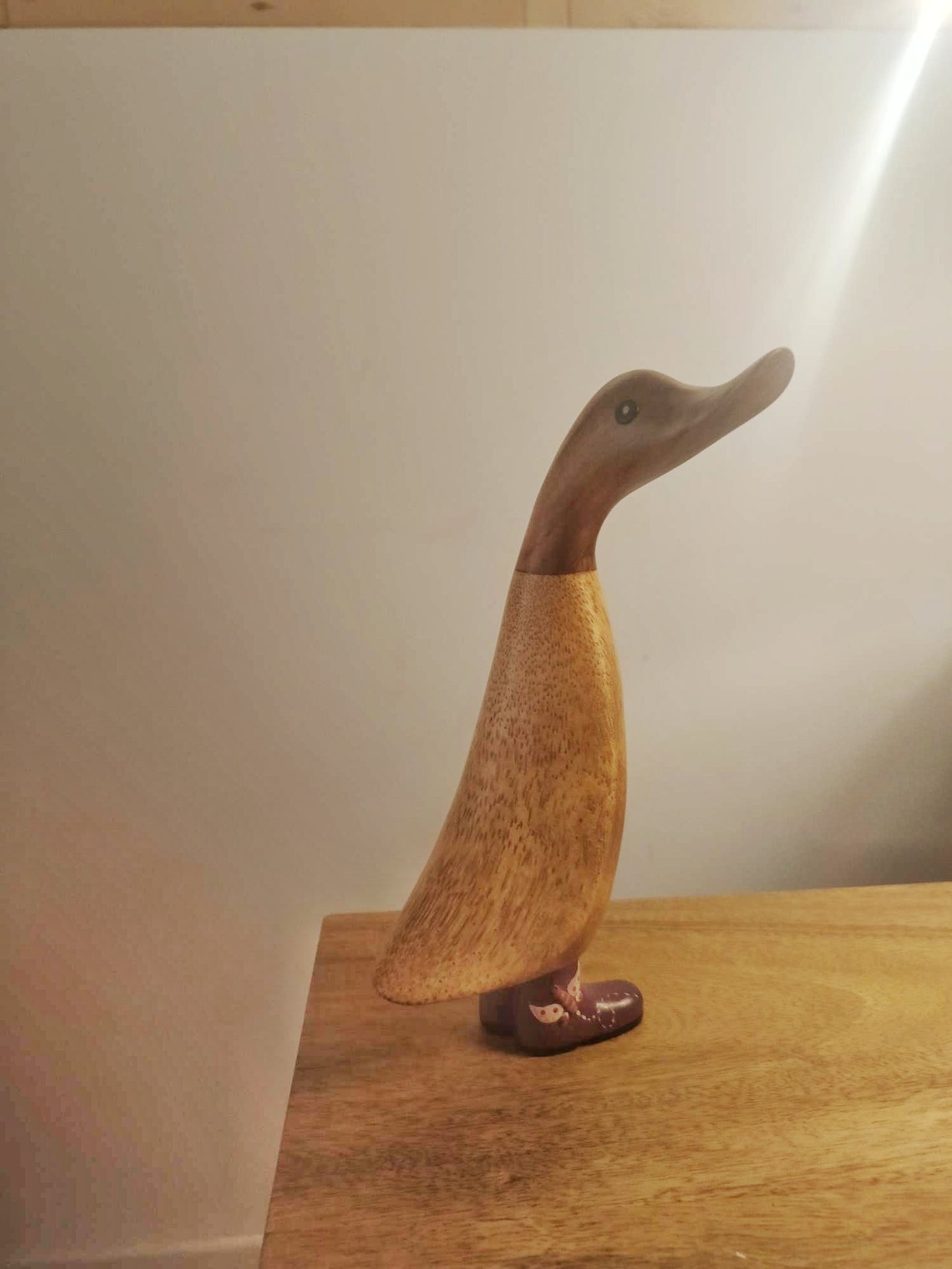 Papera con stivale libellula [3]