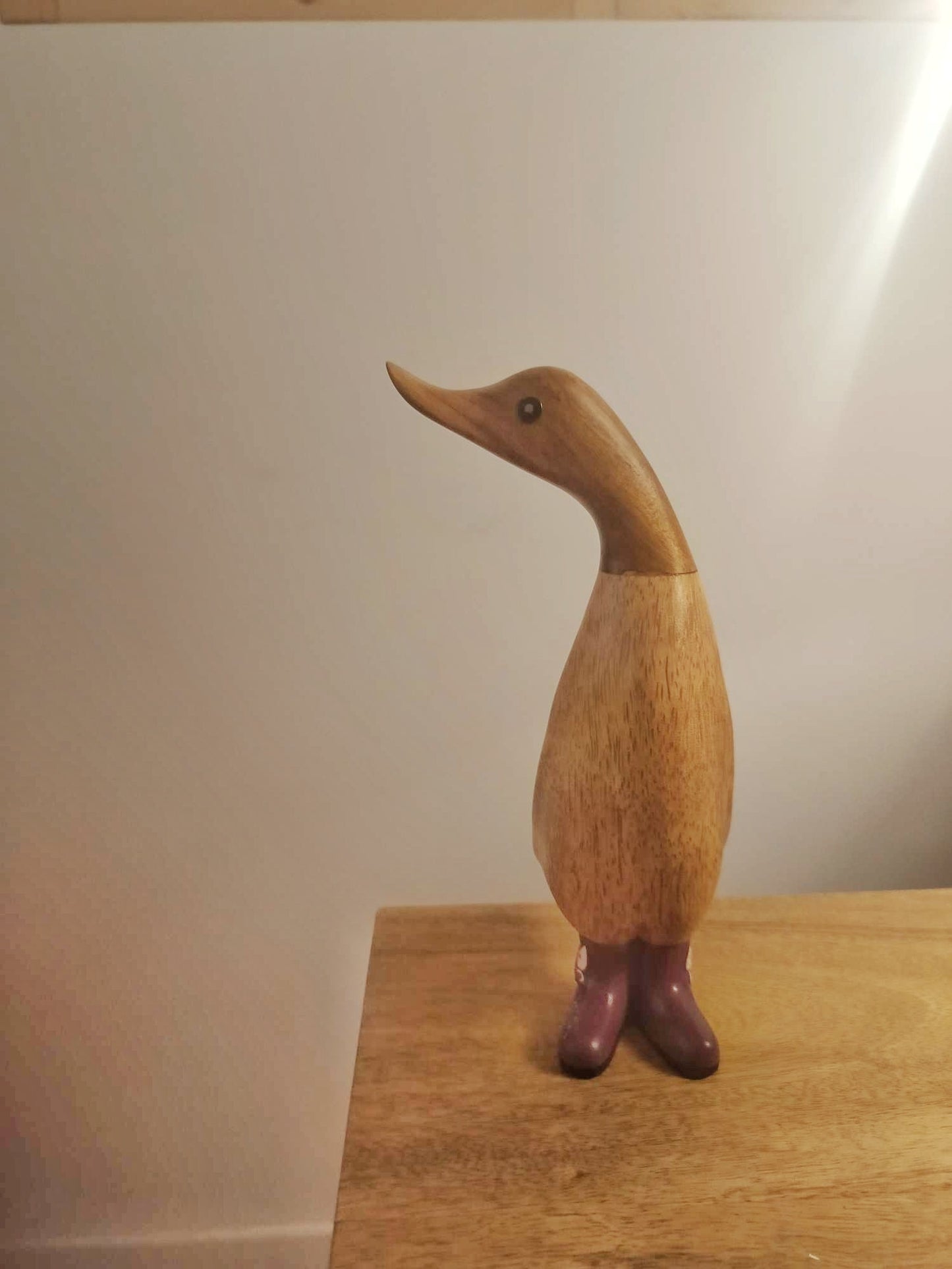 Papera con stivale libellula [3]