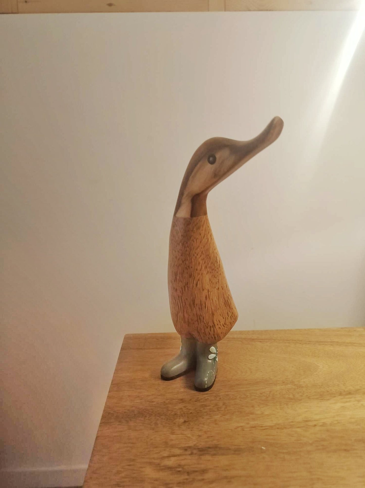 Papera con stivale farfalla [1]