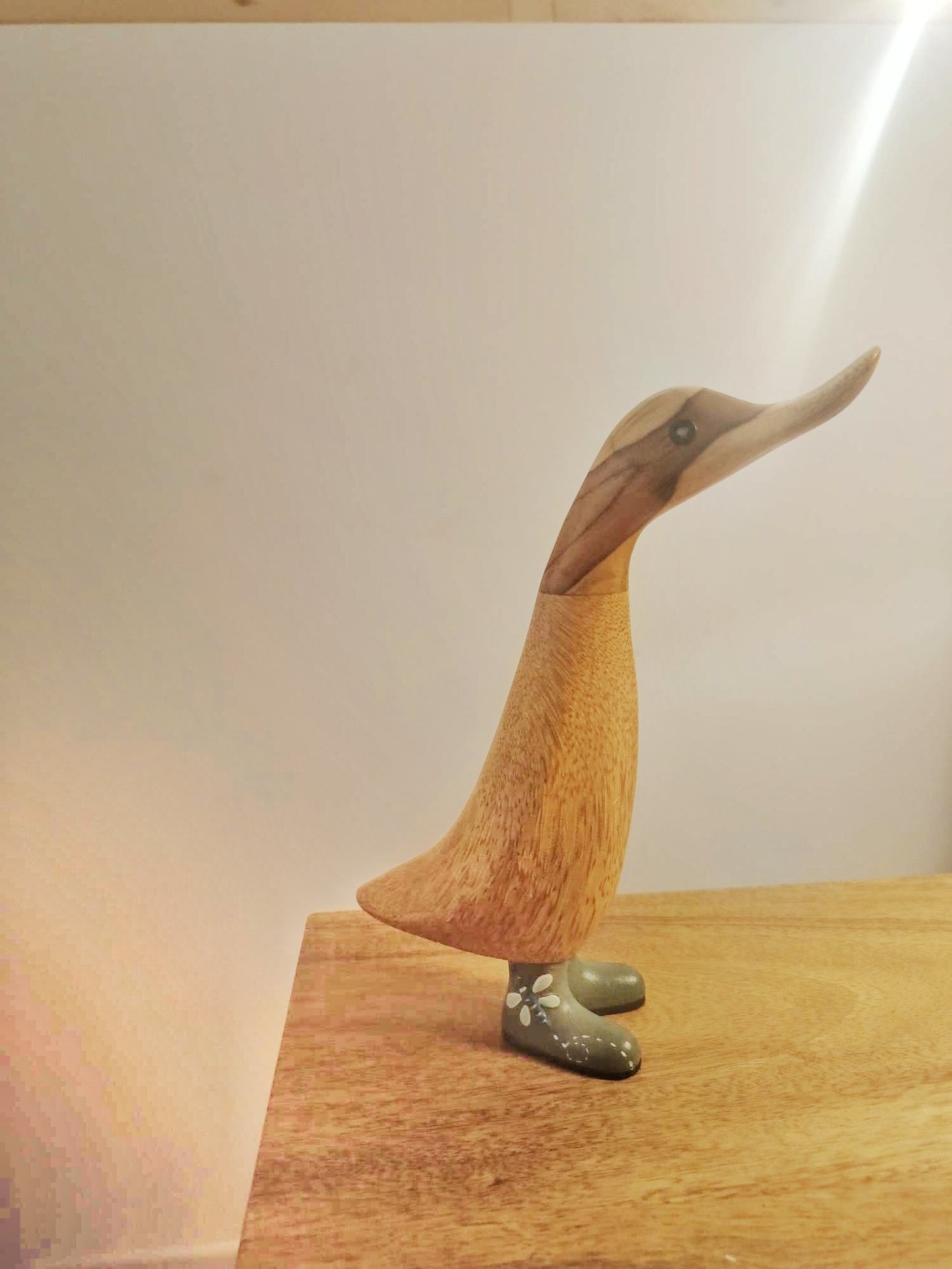 Papera con stivale farfalla [3]